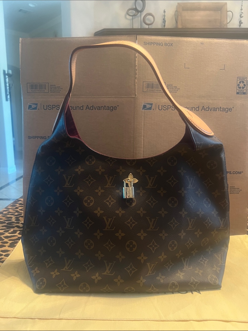Louis Vuitton Flower Hobo Bag